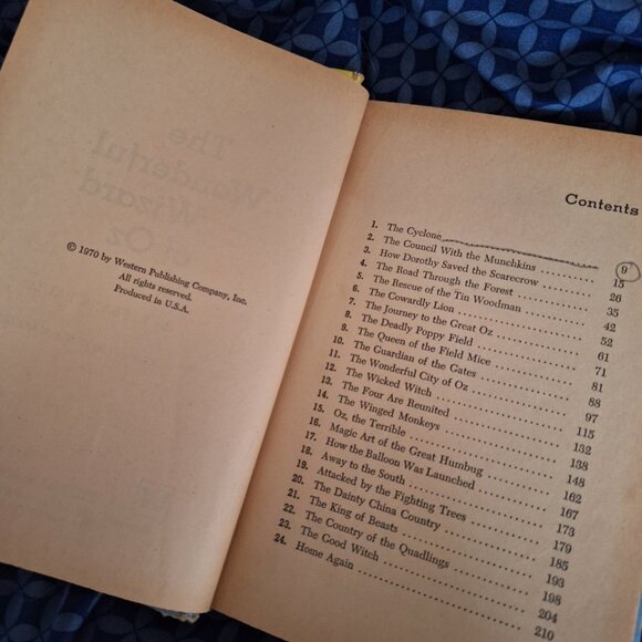 the Wonderful wizard of oz book - Picture 6 of 10